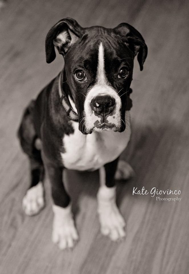 Cash19Weeks