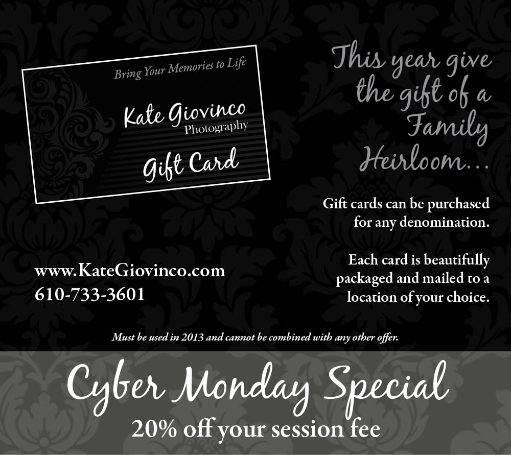 Cyber Monday Special: One Day Only